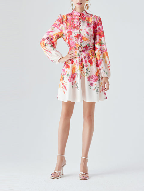 Long Sleeve Printed Dress with Belt