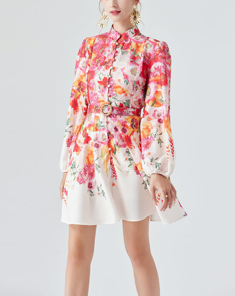 Long Sleeve Printed Dress with Belt