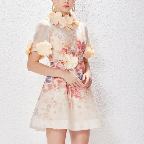 Floral Round Neck Lace Up Short Sleeve Mini Dress
