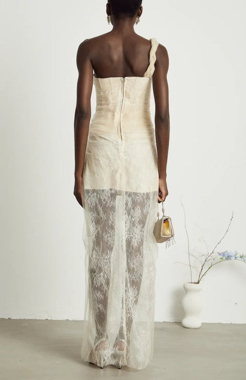 Dina pleated mesh maxi dress