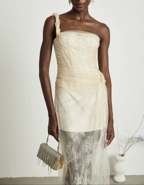 Dina pleated mesh maxi dress
