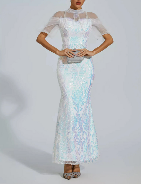 Robin White Mesh Maxi Sequin Dress